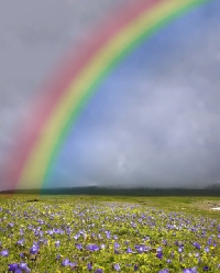 A beautiful rainbow forms where sunlight meets the rain.