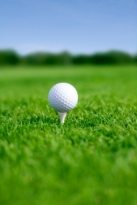 The right golf ball could mean the difference between winning or losing.