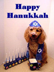 Challenge your Hanukkah  knowledge with some well known and little know facts