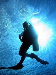 Scuba diving is an amazing experience and a must for your beach vacation.