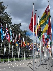 Throughout history, flags have been flown as decoration, signals, and symbols