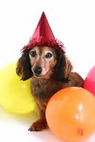 A dog theme for a pet's birthday party can lead to fun and frisky frolics