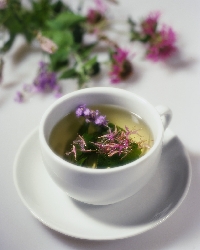 Grab a fragrant cup of green tea and learn about its health properties