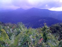 Camping in the south: exploring the Blue Ridge Mountains