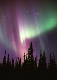 The Northern Lights is a spectacular sight seen from nothern locations