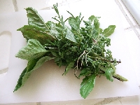 Here is an easy way to preserve your garden herbs