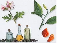 Use 'Scentsibility': select natural and organic aromatheraphy fragrances