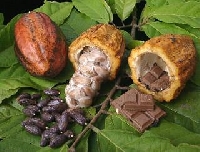 Cocoa content vs. milk, sugar, butter: how to distinguish chocolate varieties
