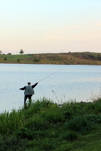 Learn the basics of fly fishing from gear to casting patterns