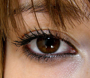 How to makeup brown eyes with tips to enhance the depth and beauty of your eyes