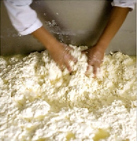 Learning how to make cheese in your own kitchen is rewarding but labor intensive