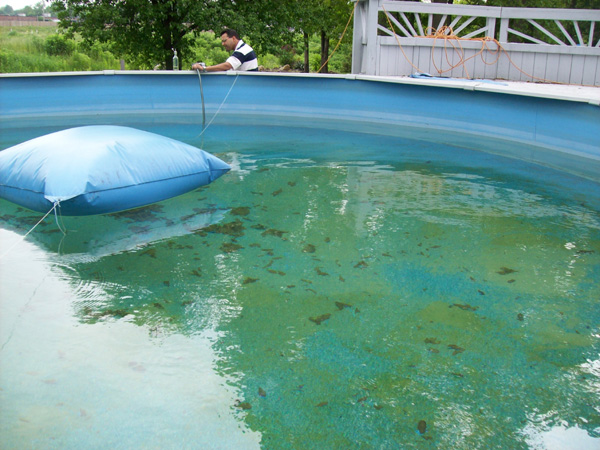 Chemical imbalances are why pool water gets cloudy - and mean it needs TLC!