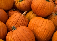 Pumpkin isn't just for Halloween and pumpkin pies!