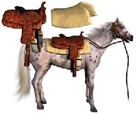 Differences between saddles