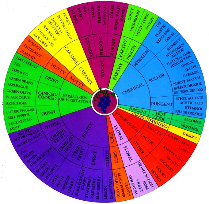 Wines are very complex. A wine flavor wheel can help you determine what is what