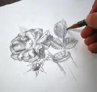 Knowing how to draw flowers will have you creating blooms in a few simple steps
