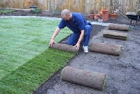 Tips for laying turf include preparing the soil and caring for the sod