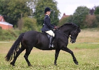 English riding style requires specific horseback riding accessories