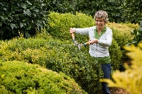Knowing when to prune bushes will keep them in great shape year round