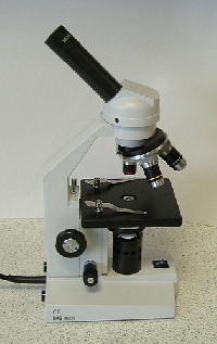 Learn how to use microscopes for best results in scientific exploration