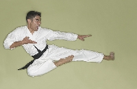What is a karate black belt and what do you do to earn the right to wear it