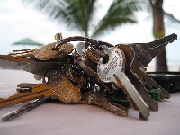 Organize your keys by using multiple keychains and sort them with clips