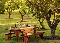 Set up outdoor dining with these tips on choosing the perfect location