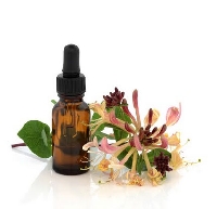 Using flower essences for healing the mind, body and spirit