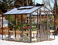 Raising plants in a greenhouse is easy when you follow some basic rules.