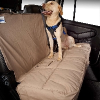 Don?t be afraid to let the dogs in the car with these simple tricks!