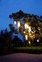 Great ideas for garden lighting to enhance your property.