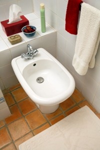 Learn about a plumbing fixture that is standard in most European homes.