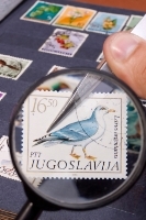 Become a skilled stamp collector with these tips.