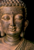 What are the elements of Zen Buddhism?