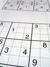 What makes Sudoku such a popular game?
