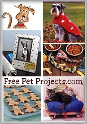 Free Pet Projects