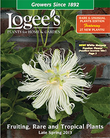 Logee's Greenhouse