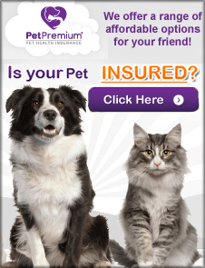 PetPremium Insurance Quote