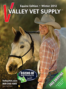 Valley Vet - Equine Edition