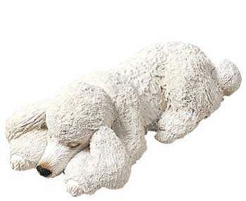 dog_april.jpg