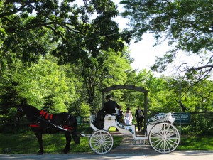 A park is one of the top ten most romantic wedding reception venues