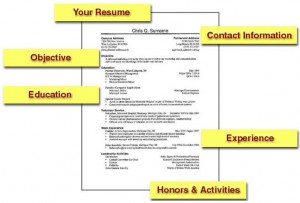Prepare a solid resume to land the job