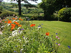 An arboretum is one of the top ten romantic reception venues