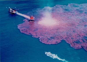 The BP oil spill is one of the top ten environmental disasters caused by humans