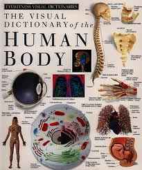 The Human Body is one of the top ten books to read before college