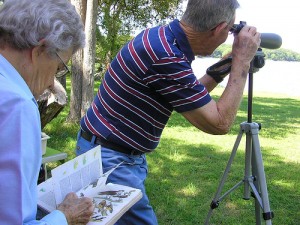 Bird watching is one of the top ten hobbies for retirees