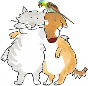Pets are one of the things to cheer you up