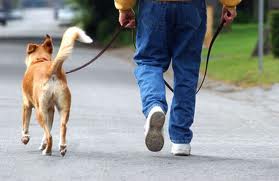 A great spring fitness tip is to get out and walk the dog