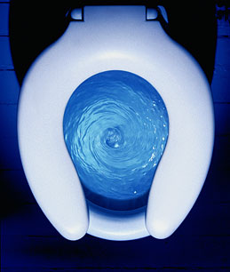 Flushing the toilet less helps conserve water