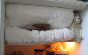 Malfunctioning freezer and other appliances are a home inspection nightmare
